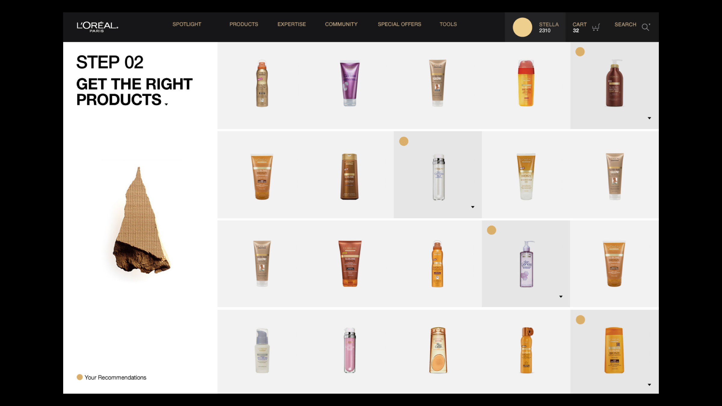 L'Oréal Brand Interface